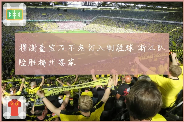 穆谢奎宝刀不老打入制胜球 浙江队险胜梅州客家