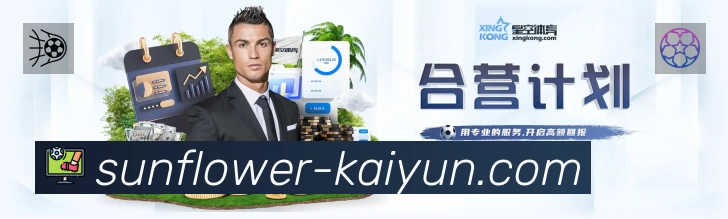 开云专业体育内容入口